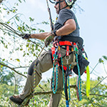 Tree Climbing Gear